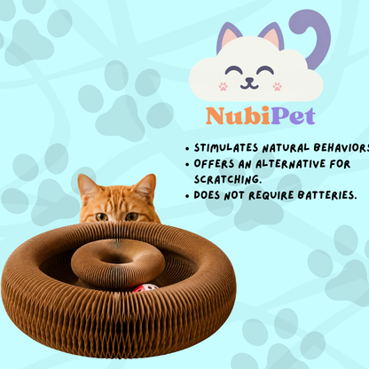 NubiLoop - Rascador interactivo transformable 4 en 1